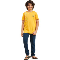 Sweet Dreams Boys Printed Half Sleeves Pyjama Set Mango