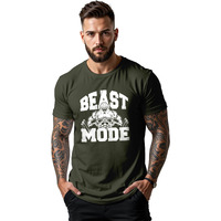 Peppyzone Men's Regular Fit Gym Workout T Shirt For Men (4Xl, Olive2)