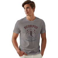 Peppyzone Men's Regular Fit T-Shirt (Pz-Zodiacscorpio6010_Grey