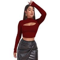 Sugathari Women's & Girl's Maroon Solid Knitted Full Sleeve High Neck Ruched Bust Crop Tee Tops (Top 109 Maroon L)