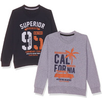 T2F Boy's Cotton Crew Neck Sweatshirt (Bys-Rn-Ss-01_Multicolor 5_13-14 Years)