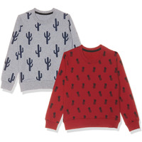 T2F Boy's Cotton Crew Neck Sweatshirt (Bys-Rn-Ss-01_Multicolor 1_5-6 Years)