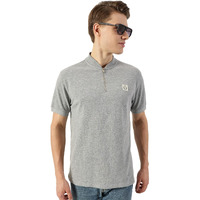 Thomas Scott Men's Cotton Solid Mandarin Collar Regular Fit T-Shirt(Ccktt04_Grey_L)