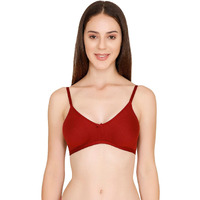 Zivame Women's Rayon Non-Padded Wire Free T-Shirt Bra (Zi1885-Sundried Tomato_Red_34D_Red_34D)