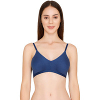 Zivame Women's Synthetic Padded Wire Free Seamless Bra (Zi1885Coreablue_Blue_32C_Blue_32C)