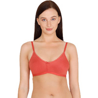 Zivame Women's Polyester Wirefree Seamless T-Shirt Bra (Zi1885Corezsred0034C_Pink_34C)