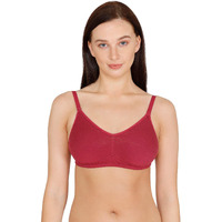 Zivame Women's Cotton Wire Free Regular Seamed T-Shirt Bra (Zi10Tbcore00Red0036C_Red_36C)