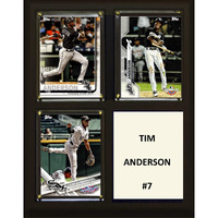 MLB Chicago White Sox Plaque, Brown, 8"x10"