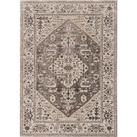 Inspire Parisian Transitional Area Rug Runner 2'2" x 6'11"