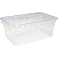 School Smart Sturdy Plastic Storage Tray, Multifunctional Design for Classroom, Home, and More, Standard Cubby Size, Translucent