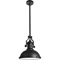 Elegant Furniture & Lighting Eamon Collection Pendant D13 H13.3 Lt:1 Oil rubbed bronze Finish