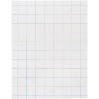 School Smart-85280 Double Sided Graph Paper with in Ruler - 8 1/2 in x 11in - Ream of 500 - White
