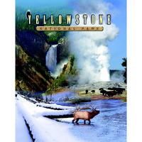 Gift Trenz Yellowstone 3D Postcard (20321)