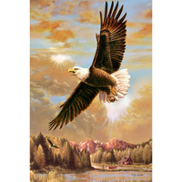 Gift Trenz Eagle 3D Postcard (20320)