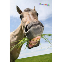 Gift Trenz Crazy Horse 3D Postcard (20339)