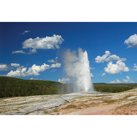 Gift Trenz Geyser Motion Postcard (20329)
