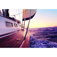Gift Trenz Sailboat Motion Postcard (20332)