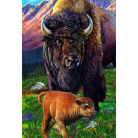 Gift Trenz Buffalo 3D Postcard (20302)