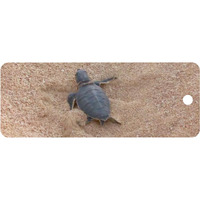 HATCHLING- MOTION BOOKMARK