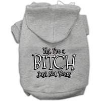 Pet Dog & Cat Hoodie Screen Printed, "Yes, I'm A Bitch, Just Not Yours" Gray MD (6-10 lbs.)