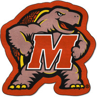 FANMATS men unisex adult women Mascot Mat sports fan area rugs, Team Color, 36 Inch x 42 Inch US