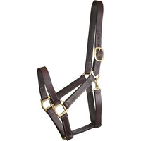 Gatsby Track Style Turnout Halter/Snap Horse