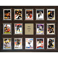 C&I Collectables NHL Pittsburgh Penguins Plaque, Brown, 16"x20"
