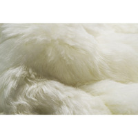 2' X 3' White Animal Print Area Rug