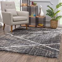 4 X 6 Gray Modern Distressed Lines Area Rug