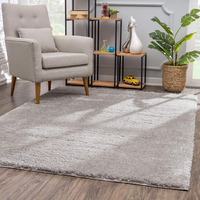 5 X 8 Gray Modern Solid Shag Area Rug