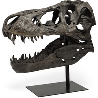 Authentic Replica T Rex Skull Sculpture