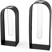 Set Of Two Black Metal Test Tube Decor Pieces