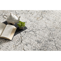 5 X 8 Gray And Ivory Abstract Distressed Area Rug