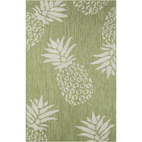 5 X 7 Green Pineapple Indoor Outdoor Area Rug