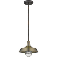 Brushed Gold Shallow Plate Adjustable Pendant Light