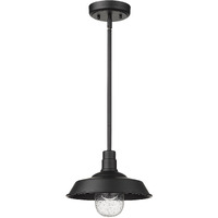 Matte Black Shallow Plate Adjustable Pendant Light