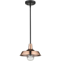 Shiny Copper Shallow Plate Adjustable Pendant Light
