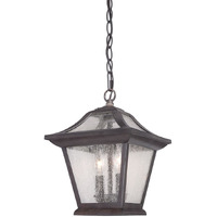 Matte Black Birdhouse Shape Outdoor Hanging Light