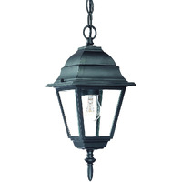 Matte Black Beveled Glass Outdoor Hanging Light