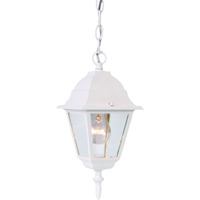 Distressed White Beveled Glass Outdoor Hanging Light