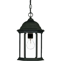 Matte Black Glass Lantern Hanging Light