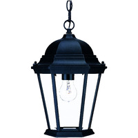 Matte Black Domed Glass Lantern Hanging Light