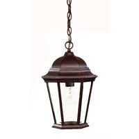 Dark Brown Domed Glass Lantern Hanging Light