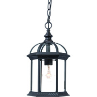 Matte Black Cage Hanging Light