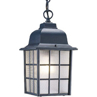 Matte Black Window Pane Lantern Hanging Light