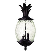 Lanai 3-Light Matte Black Wall Light