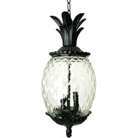 Lanai 3-Light Black Coral Hanging Light