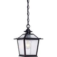 Matte Black Terrarium Shape Hanging Light