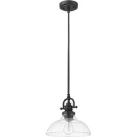 Matte Black Hanging Light With Glass Dome Shade
