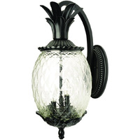 Matte Black Hanging Pineapple Wall Light